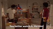 The Facts Of Life Diffrent Strokes GIF by ABC Network