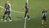 Celebrate New York GIF by National Women's Soccer League