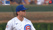 Chicago Cubs Baseball GIF