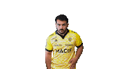 Sport Celebration Sticker by Stade Rochelais