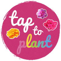 Flower Love Sticker by MummyConstant