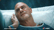 Season 5 Nbc GIF by Law & Order