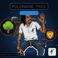 South Africa Travel GIF by TEAM AF
