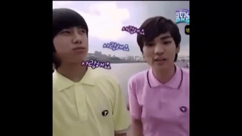 shinee GIF
