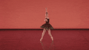 Emergingdancer GIF by English National Ballet