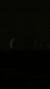 studio-vpr whale device critter the loop GIF