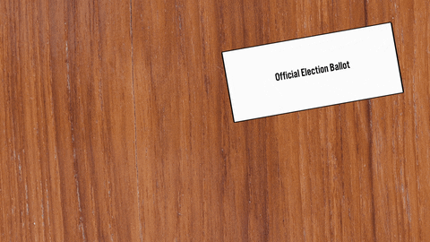 hilary-schenker giphyupload pennsylvania nonakedballots votinginpa GIF