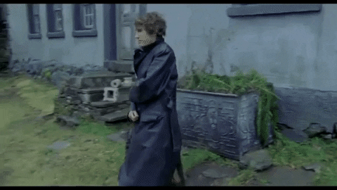 withnail and i GIF by Arrow Films