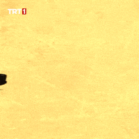 Car Hello GIF by TRT