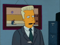 Season 2 GIF by The Simpsons