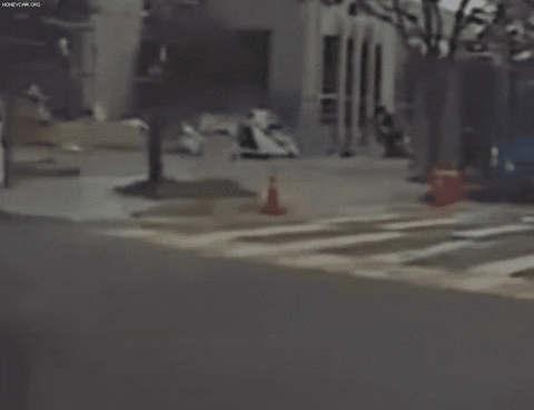 insight_newsroom giphyupload GIF