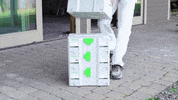 power tools organization GIF by Festool