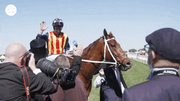 New Zealand Thumbs Up GIF by World Horse Racing