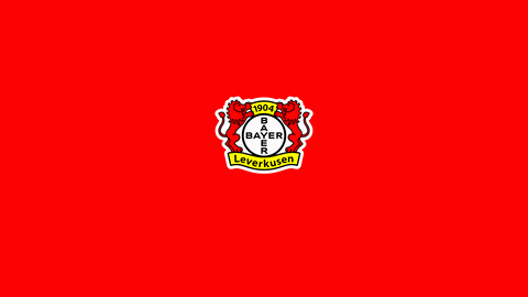 Christmas Holiday GIF by Bayer 04 Leverkusen