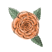 Flower Sticker by Increase Creativity