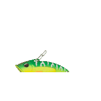 Fishing Rattling Sticker by Catch More Fish