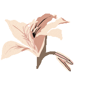 Flower Plant Sticker