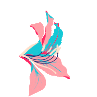 Summer Flower Sticker