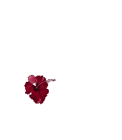 Summer Blooming Sticker by Sarmaya Arts Foundation