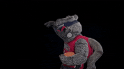 Football Spider GIF by Richmond Spiders