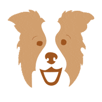 Border Collie Dog Sticker by The Sorry Girls