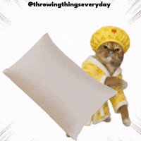 Cat Throwing GIF