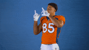 Denver Broncos Football GIF by Broncos