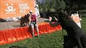 Save Them All Best Friends GIF