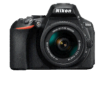 Nikon Nikoninstabadge Sticker by NikonIndia