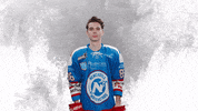 Sport Hockey GIF by Newcastle Northstars