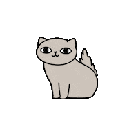 Cat Animation Sticker by KETNIPZ