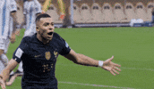 France Football GIF