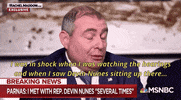 news msnbc rachel maddow devin nunes lev parnas GIF