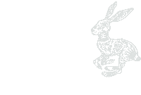 Lucky Rabbit Sticker by Suerte Tequila