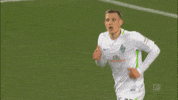 sv werder bremen bundesliga GIF