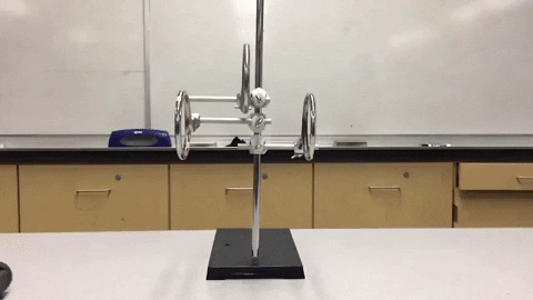 yairmau giphyupload GIF