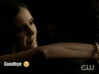 The Vampire Diaries Kiss GIF by WHOSAY