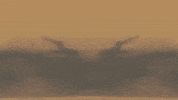 Youtube Loop GIF