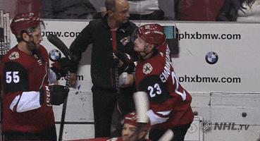 ice hockey hug GIF by NHL
