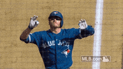 homer donaldson GIF by MLB