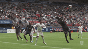 rslmarketing soccer futbol mls major league soccer GIF