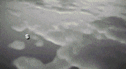 Sotrix  GIF
