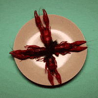 animation party GIF by Katy Beveridge Studio