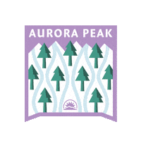 Ski Snowboard Sticker by Sunday River