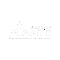 Plante Sticker by sementesplante