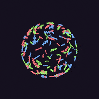 animation art GIF by Mathew Lucas 