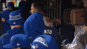 Blue Jays Smile GIF by Toronto Blue Jays