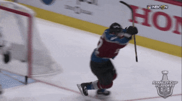 celebrate ice hockey GIF by NHL