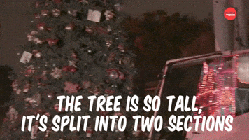 How Disneyland Gets Ready For The Holidays