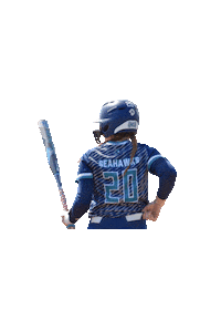 Collegesoftball Sticker by UNCW Softball